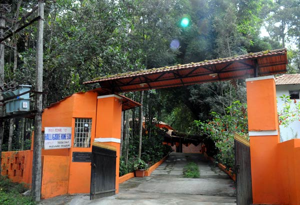 Halligadde Homestay
