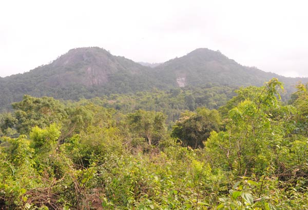 Halligadde Homestay