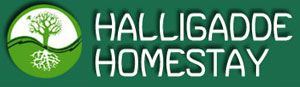HALLIGADDE HOMESTAY