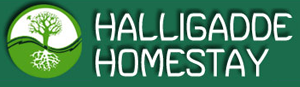 HALLIGADDE HOMESTAY